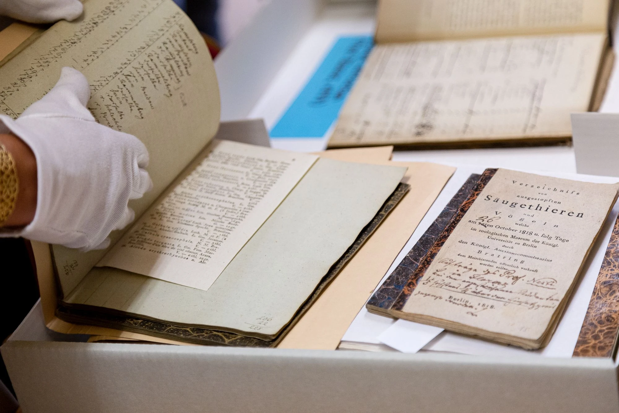 TheMuseumsLab | Isabel Alvarez archival work at Museum für Naturkunde